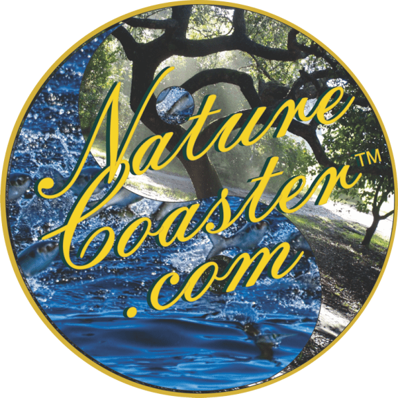 New Nature Coaster Logo