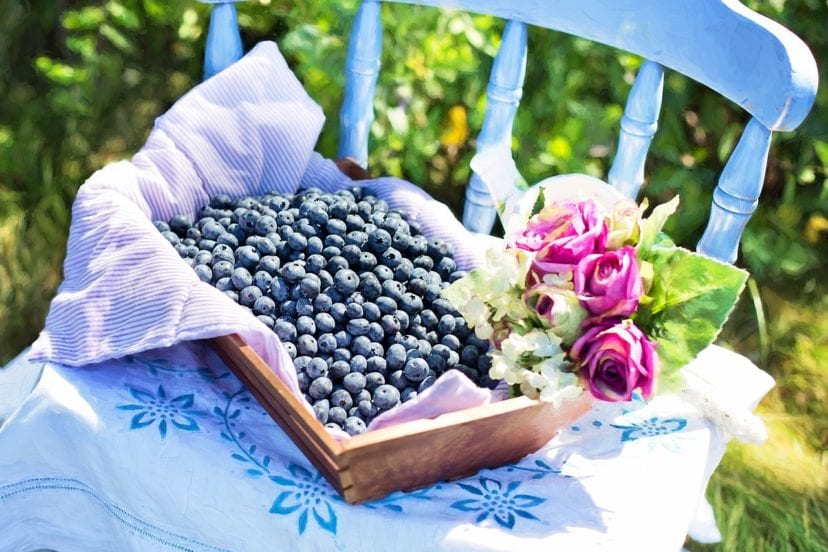 blueberries in a bowl on a chair
