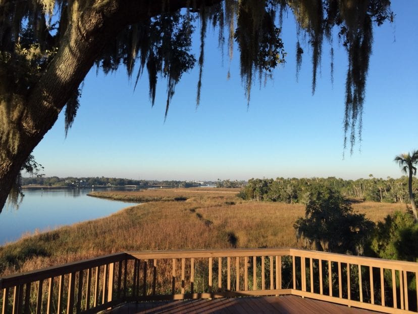 Crystal River Archaeological State Park View from Top