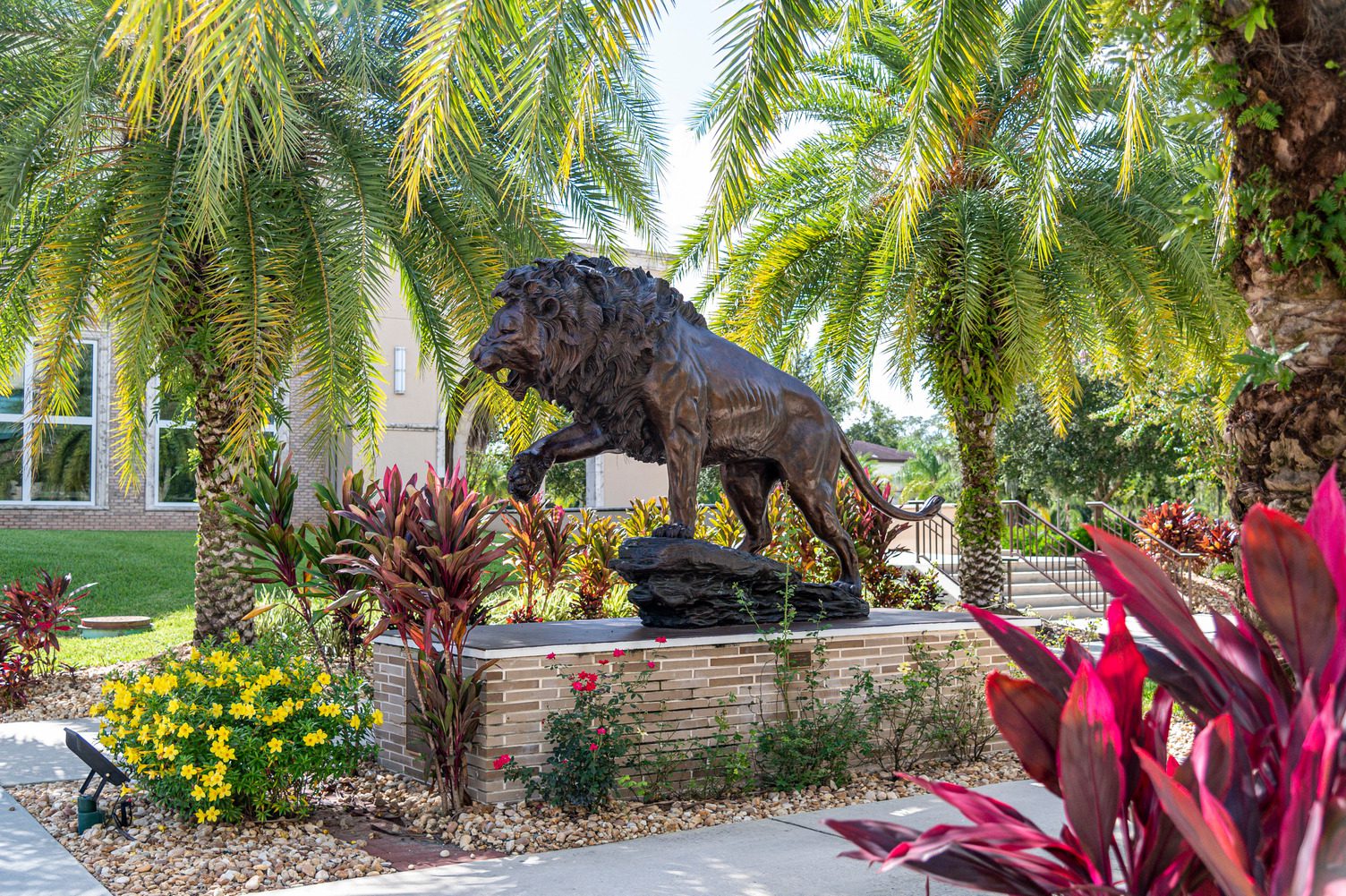 Photo provided by Saint Leo University Saint Leo University will welcome students for in-person classes for Fall Semester 2021. Shown is the Leo the Lion sculpture at University Campus in Pasco County, FL.