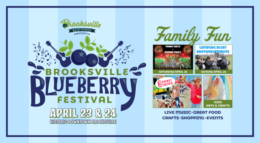 brooksville blueberry festival flyer