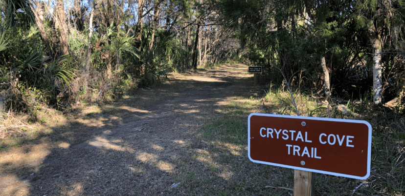 Hiking Crystal Cove Trail on Florida's Nature Coast _ Photo by Sally White