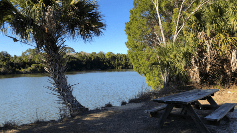 Picnic table with a view of the lake on Crystal Cove Trail_Photo by Sally White