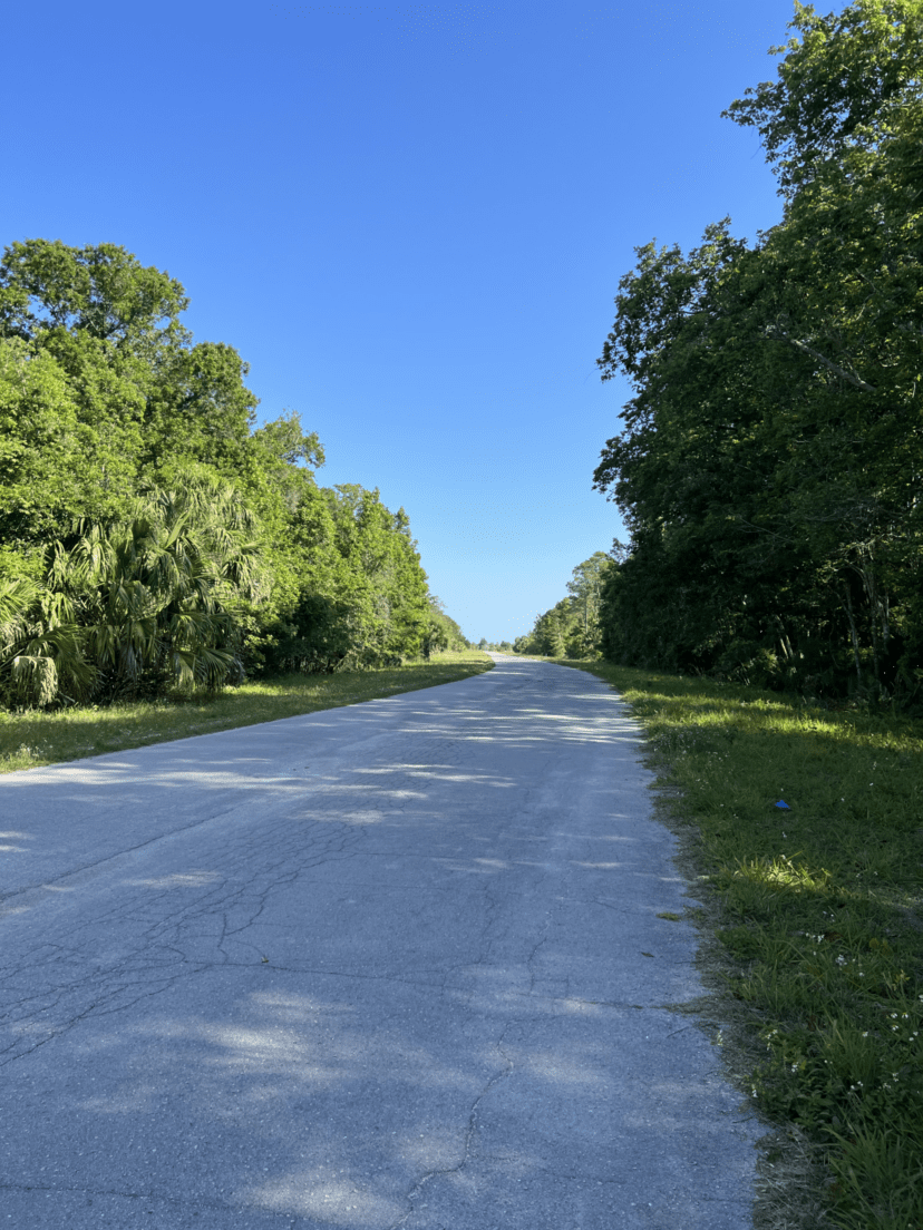 weekiwachee preserve paved road