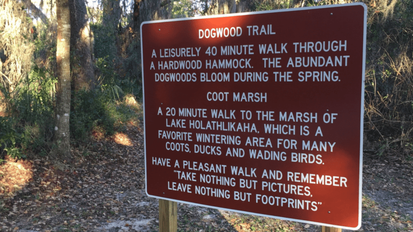 Hiking trails at Fort Cooper State Park