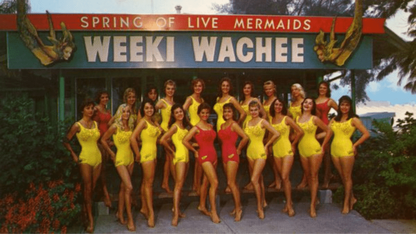 weeki wachee mermaids